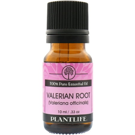 plantlife valerian root aromatherapy essential oil - straight from the plant 100% pure therapeutic grade - no additives or fillers - 10 ml